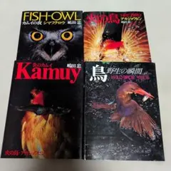 初版帯付寺田克也ポストカード付のらずにいられないっ! KATSUYATERADA