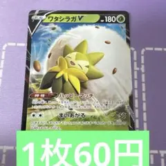 ワタシラガv rr 特価　残1のサムネイル