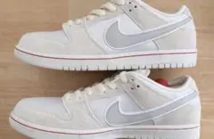 NIKE SB DUNK LOW City of Love 29 新品 訳あり