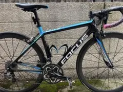 2026年最新】Focus Cayoの人気アイテム - メルカリ