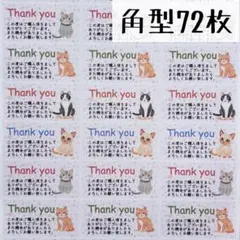 Item thumbnail for item 4c0f560b-cead-4e43-b504-81a3116cc1aa