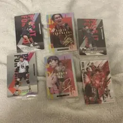 男子バレー トレカ