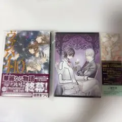ヴァンパイア騎士(ナイト) 第10巻　文庫版　ポストカード16枚付き　樋野まつり ヴァンパイア騎士 文庫版10巻 スペシャルポストカード16枚 樋野まつり