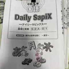 2026年最新】Sapix 5年 夏期講習の人気アイテム - メルカリ