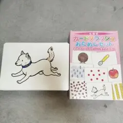 Item thumbnail for item b85ce72f-4419-41cf-8e66-dd46ffe30476