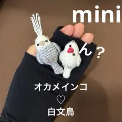2026年最新】オカメインコ あみぐるみの人気アイテム - メルカリ