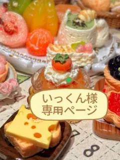 いっくん様専用ページ