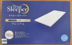 Item thumbnail for item 5fc6d1f9-8681-4bee-8b1d-e2ab3d823578