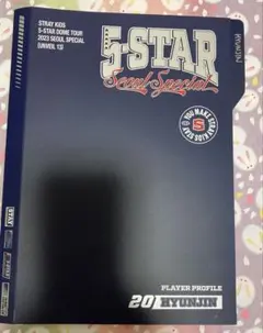 StrayKids ヒョンジン 5-STAR プロフィールセット　ICカード欠品