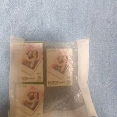 FUJIFILM instax mini インスタントフィルム 30枚