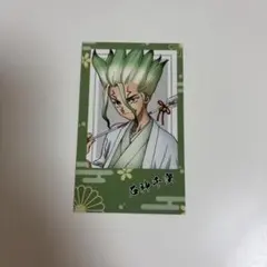 Dr.STONE 描き下ろしイラスト 石神千空 石化前ver. ブロマイド 2枚