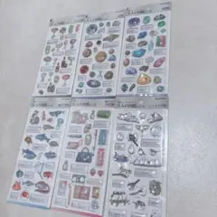 大人の図鑑シール　大人図鑑シール　3d シール　ボンボンドロップシール　ボンドロ