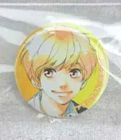 2026年最新】アオハライド 缶バッジの人気アイテム - メルカリ