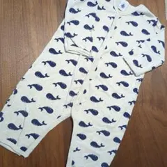 Item thumbnail for item 2d3c0799-6dfc-427b-beca-fc8b1c2f1859