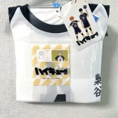 Item thumbnail for item 747ff8d4-e4fc-4bcd-9cc1-1a77cded1c9d