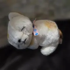 2026年最新】nao's stuffの人気アイテム - メルカリ