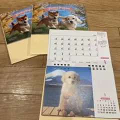 Item thumbnail for item d39041b1-28b6-4fe1-9b20-5f6812d905ca