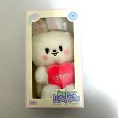 StrayKids リノ Leebit 6th ペンミ PLUSH voice - メルカリ