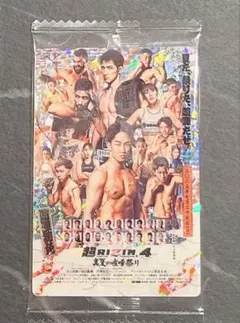 RIZINウエハース シークレット