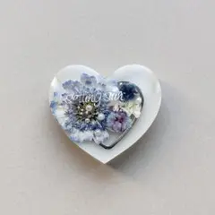 まい様