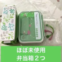 Item thumbnail for item 8f5d6f77-620d-4c9c-a71d-dd3f8e25363e