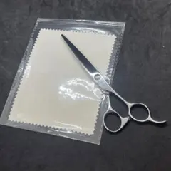 Item thumbnail for item 8cb2384b-1bd5-49c6-986b-e939642be3e1