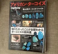 希少本】別冊Lightning アメリカン・ターコイズ 新品未読品 希少品