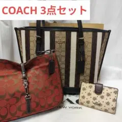 【超極美品】COACH シグネチャー モリー ストライプ　トートバッグ 　他