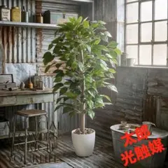 光触媒　人工観葉植物　ウォールグリーン　フェイクグリーン　ベンジャミン1.0mのサムネイル