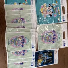 ディズニーリゾートお土産袋 13枚 1枚 2枚