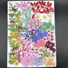 na-chan様 リクエスト 3点 まとめ商品