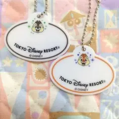 ディズニー　キーチェーン　ネームタグ　ネームプレート　チップ 7　デール 6