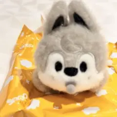 straykids 入場特典 skzoo キーホルダーうちわ バンチャンセット