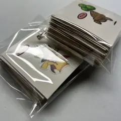 ポケモン　デコキャラシール　ポケモンプロジェクト　74枚セット