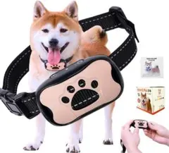 Item thumbnail for item 7280ef18-0359-4cda-afbc-95c54698f895