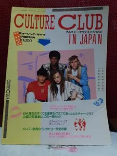沢田研二 比叡山フリーコンサート 時の過ぎゆくままに 2枚組LPレコード