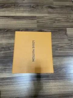 LOUIS VUITTON 空箱と保存袋セット