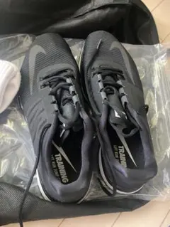 Item thumbnail for item fecacbeb-ea2c-411c-9326-8ee227302051