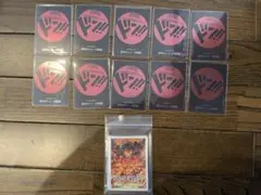 ルフィ ドンカード 10枚　公式スリーブ付き