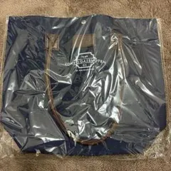 Item thumbnail for item 071d1815-e7d9-48ad-a26c-5c691ea174a6