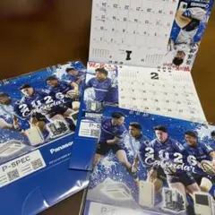 Item thumbnail for item d4816ff9-ab7c-46cd-9518-d9729c1c5942