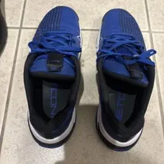 NIKE METCON メンズ スニーカー ブルー