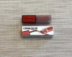 MAKE UP FOR EVER ARTIST LIQUID COLOR 214のサムネイル