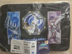ポケットモンスター プラチナムザッカ ポケットいっぱいボックス−シンオウ地方−