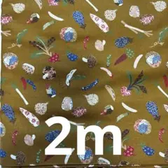 Item thumbnail for item e0e29814-a3f6-47f9-87aa-19924f6fe0bd