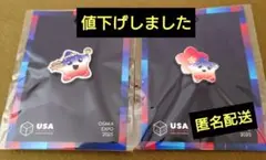 関係者限定USAパビリオン 万博ピンバッジ 関係者限定・超レア品】大阪関西万博 アメリカ館 ピンバッジ （即日