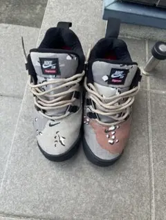 Supreme × Nike SB Darwin Low Desert camoのサムネイル
