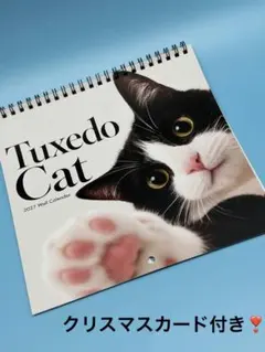 猫カレンダー❣️2027年 ❶ 　　　　　壁掛けカレンダー