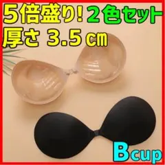 ５倍盛り 3D立体 ヌーブラ シリコンブラ ２枚セット 育乳水着 B nubra