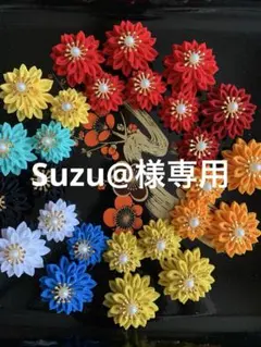 【Suzu@様専用】